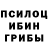 Псилоцибиновые грибы Psilocybe Juri Kashif