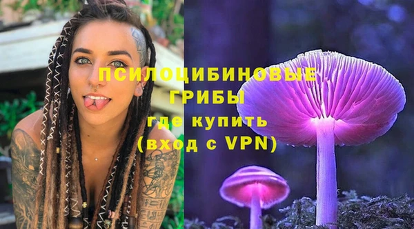трава Балахна