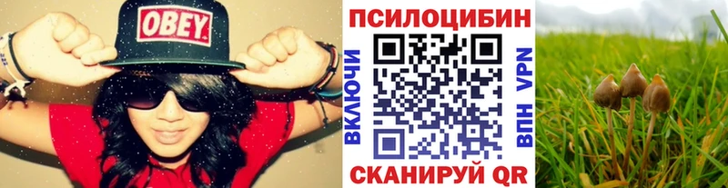 Псилоцибиновые грибы GOLDEN TEACHER  Соль-Илецк 