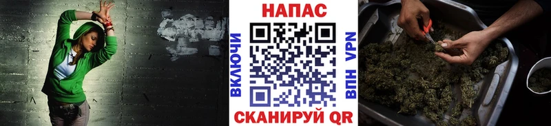 магазин продажи   Соль-Илецк  kraken ссылки  Бошки Шишки VHQ 